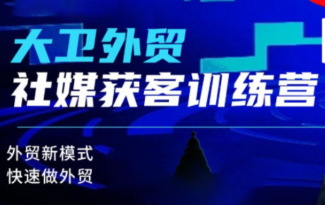 大卫老师·外贸社媒获客独家训练营(更新10月)-梦清研习社