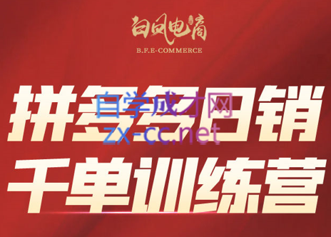 白凤电商·拼多多日销千单训练营(更新9月)-梦清研习社