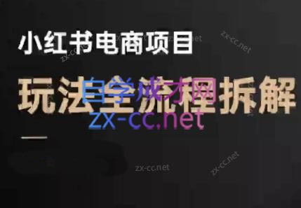 菲菲老师·小红书电商玩法(更新9月)-梦清研习社