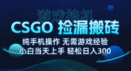 8月最新游戏搬砖，CSGO纯挂G，不需要玩游戏，实现真挂G，月入1W+【揭秘】-梦清研习社