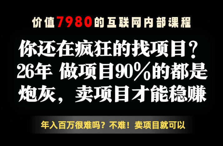 26年请不要疯狂的找项目了，卖项目远比你想象的暴利，你也可以月入10W+【揭秘】-梦清研习社
