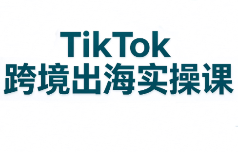 彭老师·TikTok跨境出海实操课-梦清研习社