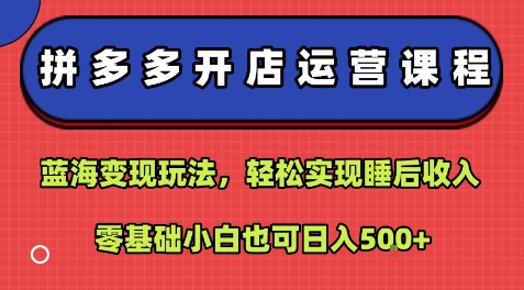 拼多多开店运营课程：蓝海变现玩法，轻松实现睡后收入，零基础小白也可日入5张-梦清研习社