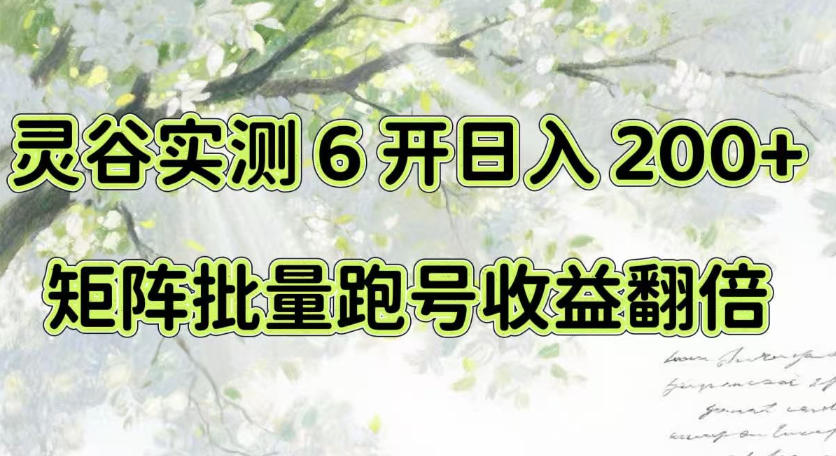 一台电脑就能做！灵谷实测6开日入200+，矩阵批量跑号收益翻倍【揭秘】-梦清研习社