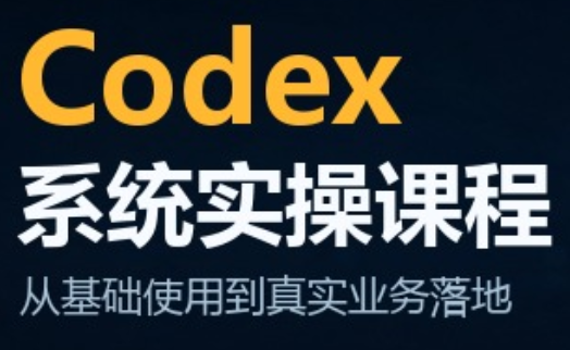 codex系统实操课程(更新10月)-梦清研习社
