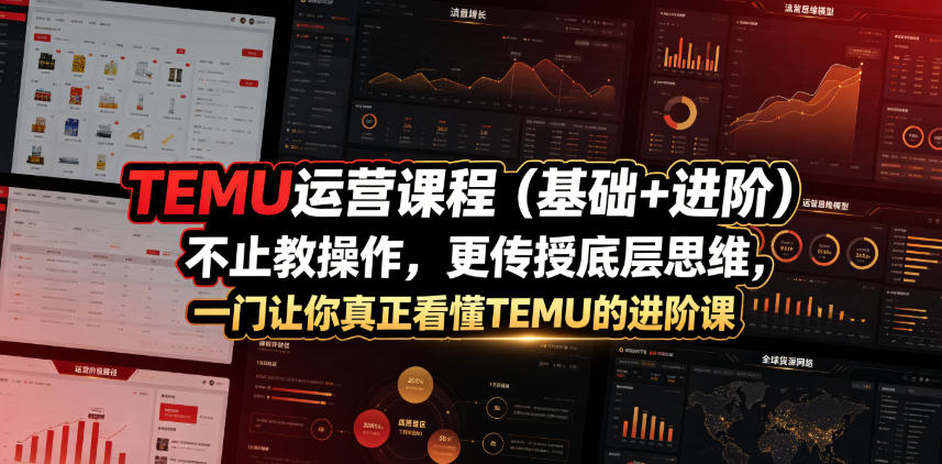 TEMU运营课程(基础+进阶)，不止教操作，更传授底层思维，一门让你真正看懂TEMU的进阶课-梦清研习社