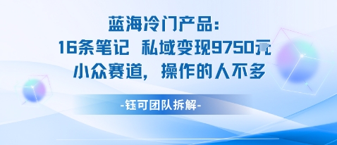 蓝海项目：16条笔记私域变现9750米小众赛道操作的人不多-梦清研习社