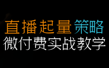 半野老师·直播带货起量与微付费必学课视频号(更新2026)-梦清研习社