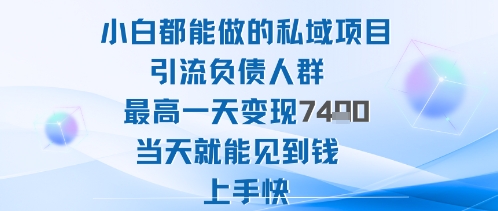 2025年小白都能做的私域项目引流负债人群最高一天变现1k+高变现难度低当天就能见到钱上手快-梦清研习社
