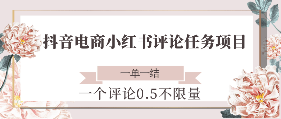 抖音电商小红书评论任务项目,一个评论0.5,一单一结 不限量-梦清研习社