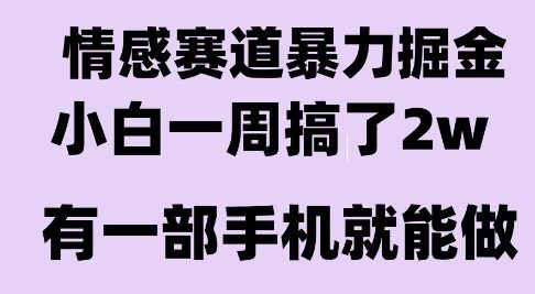 情感暴力掘金项目，新人操作一周挣了2W，长期稳定小白可做【揭秘】-梦清研习社