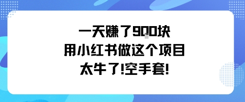 一天挣了9张用小红书做这个项目太牛了，空手套-梦清研习社