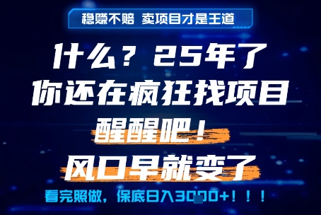 什么?25年你还在疯狂找项目做,醒醒吧,看完这些你全都懂了!【揭秘】-梦清研习社