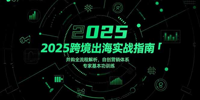 2025跨境出海实战指南，并购全流程解析，自创营销体系，专家基本功训练-梦清研习社