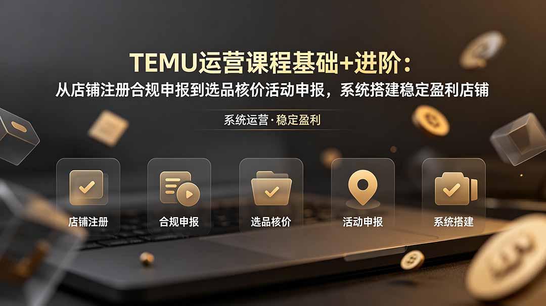 TEMU运营课程(基础+进阶-梦清研习社