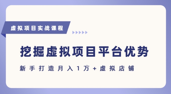 抓住虚拟项目各平台优势，新手轻松月入1W+(给出具体建议)-梦清研习社