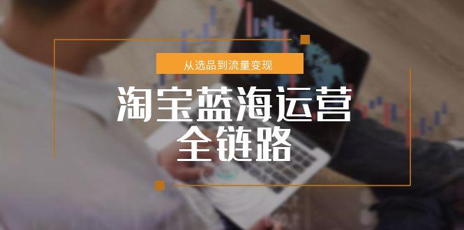 淘宝蓝海运营全链路,从选品到流量变现,小类目突围完整方案-梦清研习社