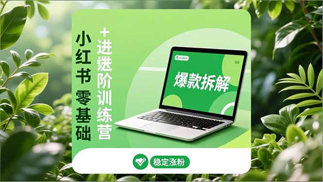 小红书零基础+高阶训练营:安全养号、爆款拆解、长效运营,实现稳定涨粉与变现-梦清研习社