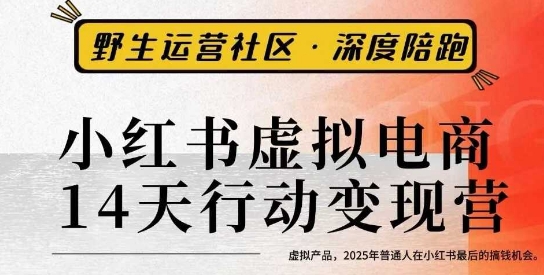 小红书虚拟电商14天变现训练营3.0，​虚拟产品，2025年普通人在小红书最后的搞钱机会-梦清研习社