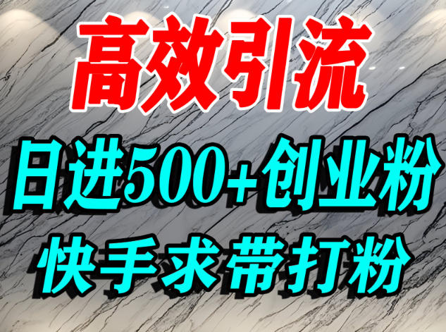 怎么打创业粉？快手求带视角精准引流创业粉，宝妈、学生群体日进500+精准流量-梦清研习社