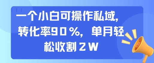 一个小白可操作私域，转化率90%，单月轻松收割2W-梦清研习社
