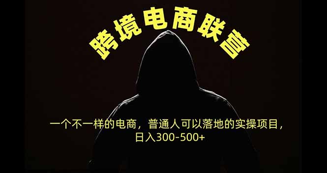 跨境电商联营，一个不一样的电商，普通人可操作日入300-500+-梦清研习社