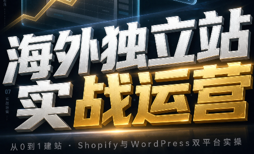 海外独立站实战运营-梦清研习社