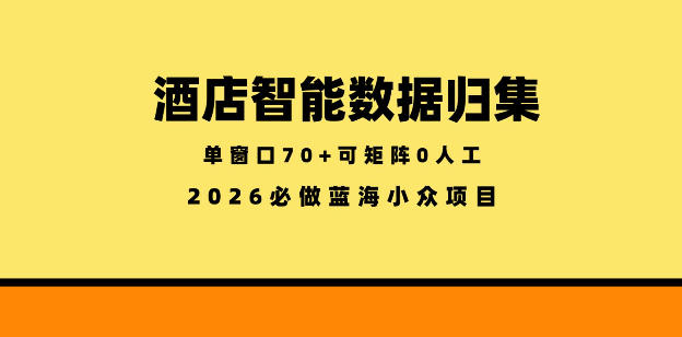 酒店智能数据归集，小众蓝海已经稳定半年之久，单窗口70+零成本矩阵开干【揭秘】-梦清研习社