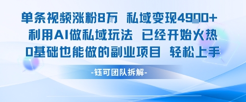 单条视频私域变现4.9k+利用AI做私域玩法 已经开始火热0基础也能做的副业项目轻松上手-梦清研习社
