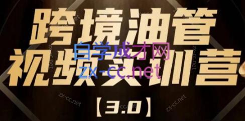 阿蔺Leo·跨境油管视频YouTube实训营(更新2025)-梦清研习社