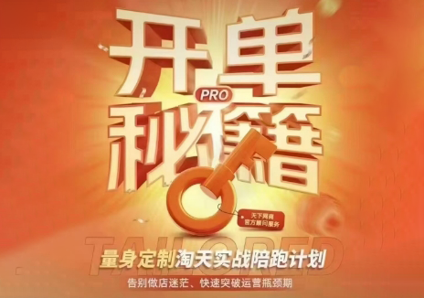 天下网商·淘宝天猫陪跑计划(更新7月)-梦清研习社