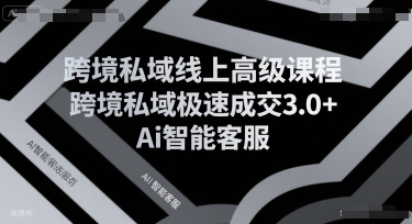 跨境私域线上高级课程，跨境私域极速成交3.0+Ai智能客服-梦清研习社