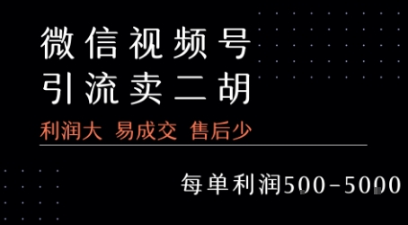 视频号卖二胡教程，利润大 易成交 售后少，一单利润5张+-梦清研习社