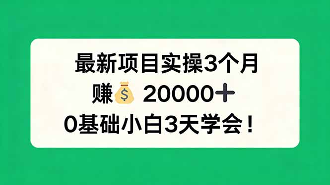 最新项目实操3个月，赚钱20000+，0基础小白3天学会！-梦清研习社