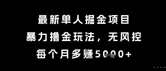 最新单人掘金项目，暴力撸金玩法，无风控，每个月多挣5k+【揭秘】-梦清研习社