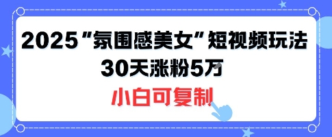 不露脸也能火!2025“氛围感美女”短视频玩法,30天涨粉5W小白可复制-梦清研习社