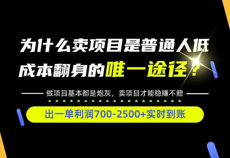 普通人如何靠互联网賺取自己的第一桶金！全类目实操型教学，看完你全都懂了！【揭秘】-梦清研习社