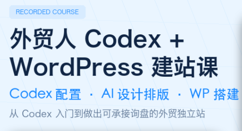 大卫·外贸人Codex + WordPress建站课(更新8月)-梦清研习社