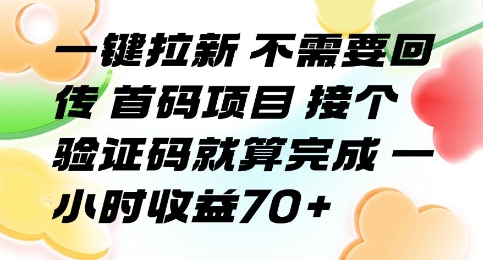一键拉新 不需要回传 首码项目 接个验证码就算完成 一小时收益70+【揭秘】-梦清研习社
