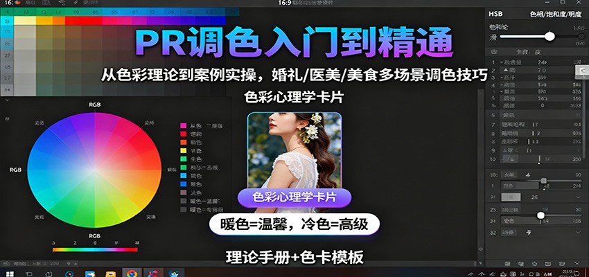 PR调色入门到精通：从色彩理论到案例实操，婚礼/医美/美食多场景调色技巧-梦清研习社