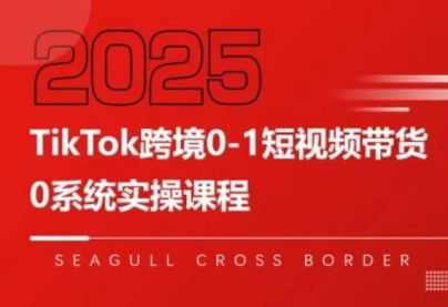 大亿老师·TikTok跨境0-1短视频带货-梦清研习社