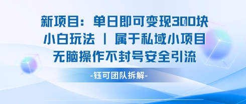 新项目单日即可变现3张的小白玩法无脑操作不封号安全引流-梦清研习社