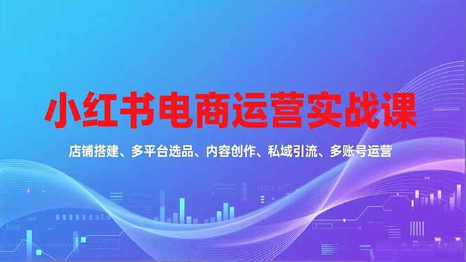 小红书电商运营实战课，店铺搭建、多平台选品、内容创作、私域引流、多账号运营等玩法-梦清研习社