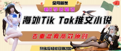海外tiktok小说推文暴力项目,高停留率,高转化率,上手后一天搞顿饭钱不是问题-梦清研习社