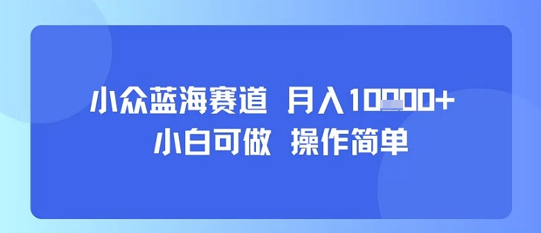 小众蓝海赛道，小白可做，操作简单，每天30分钟，月入1W+-梦清研习社