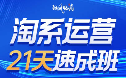 白凤电商·淘系运营21天速成班(更新9月)-梦清研习社