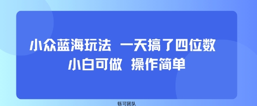 小众蓝海玩法 一天搞了四位数 小白可做 操作简单-梦清研习社