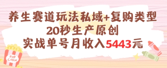 养生赛道玩法私域+复购类型，20秒生产原创实战单号月收入5k+-梦清研习社