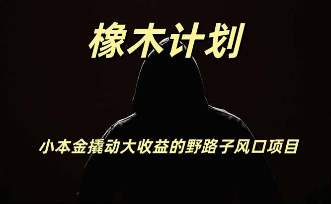 橡木计划，小投入撬动高回报的风口野路子项目，一天投入2小时左右-梦清研习社