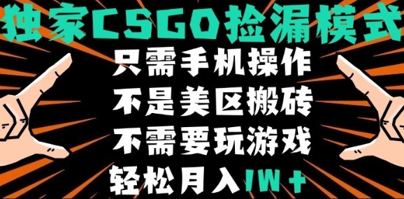 CSGO自动捡漏项目，最新独家玩法，不是美区搬砖，不需要了解和玩游戏，新手小白轻松月入1W+【揭秘】-梦清研习社